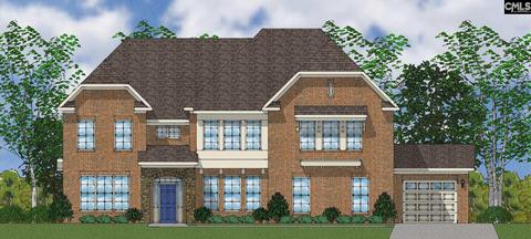 6 Cooper Simms Ct, Elgin, SC 29045 photo 1