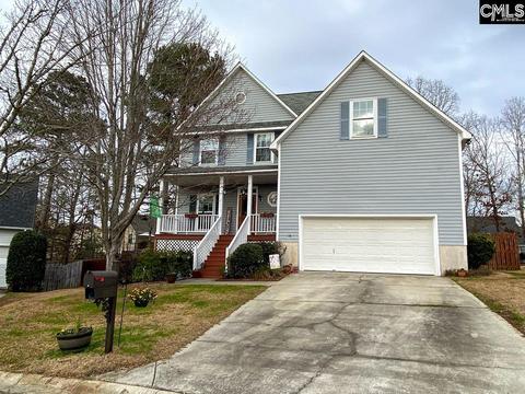 20 Maple Tree Ct, Irmo, SC 29063 photo 1