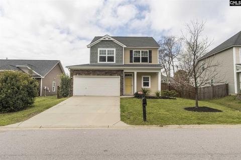 305 Eagle Pointe Dr, Chapin, SC 29036 photo 1