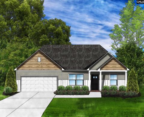 203 Doolittle Dr, Chapin, SC 29036 photo 1