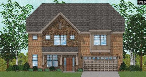 908 Tonsi Dr, Elgin, SC 29045 photo 1