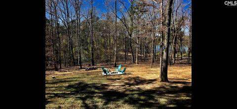 225 Limestone Rd, Chapin, SC 29036 photo 1