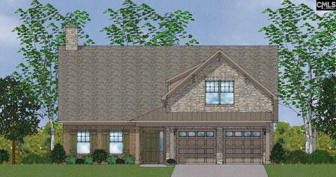 809 Dutchmaster Dr, Chapin, SC 29036 photo 1