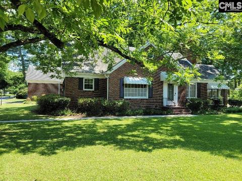 252 E Columbia Ave, Leesville, SC 29070 photo 1