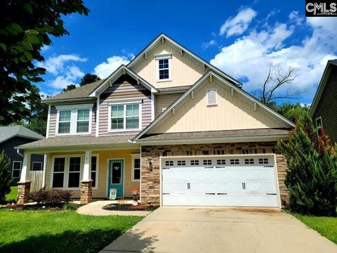 300 Eagle Pointe Dr, Chapin, SC 29036 photo 1