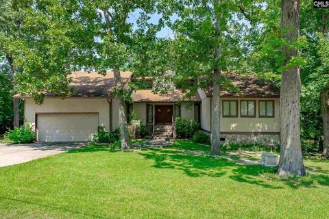 340 Adams Ln, Gilbert, SC 29054 photo 1