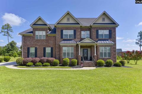 498 Palm Sedge Loop, Elgin, SC 29045 photo 1