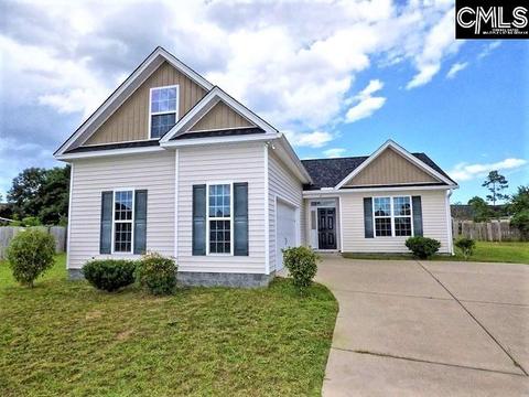 11 Sedge Ct, Elgin, SC 29045 photo 1