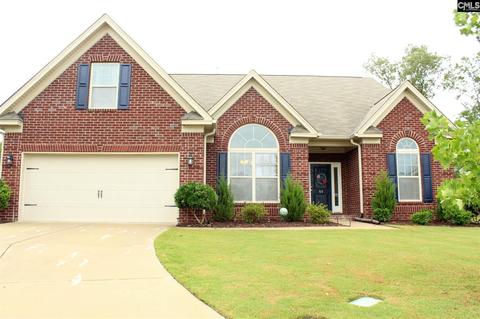 66 Fork Branch Ct, Irmo, SC 29063 photo 1