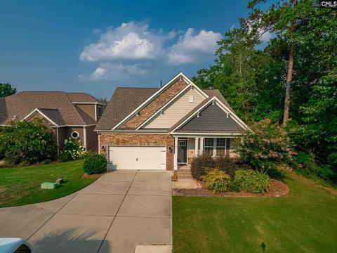 45 Downing Cir, Gilbert, SC 29054 photo 1