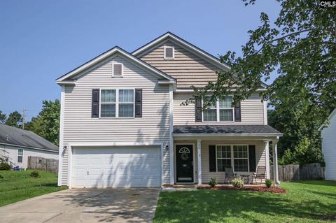132 Eagle Pointe Dr, Chapin, SC 29036 photo 1