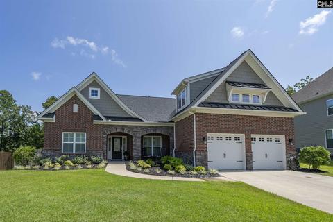 29 Mapleline Ct, Chapin, SC 29036 photo 1