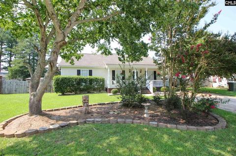 103 Hookston Way, Irmo, SC 29063 photo 1