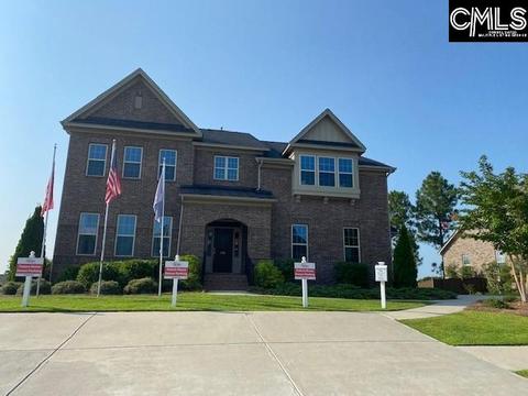 201 Palm Sedge Loop, Elgin, SC 29045 photo 1