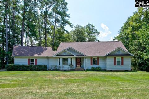 818 Silverpoint Rd, Chapin, SC 29036 photo 1