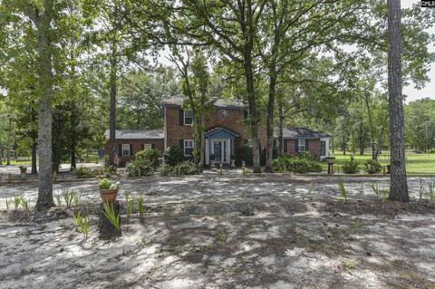 1035 Chestnut Rd, Elgin, SC 29045 photo 1