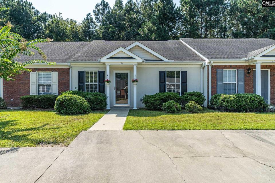  111 Waverly Point Dr, Lexington, SC 29072 photo 1