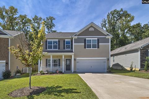 345 Explorer Dr, Chapin, SC 29036 photo 1