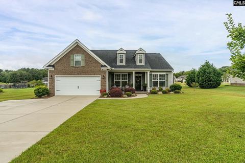 126 Switch Grass Dr, Leesville, SC 29070 photo 1