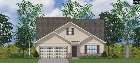 110 Turtle Trace Way, Elgin, SC 29045 photo 1