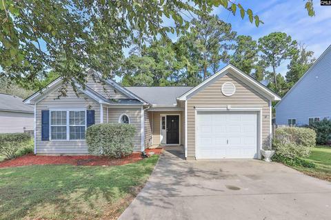 233 Glen Arbor Loop, Irmo, SC 29063 photo 1