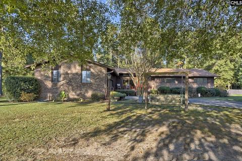 156 Durango Dr, Leesville, SC 29070 photo 1