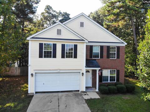 164 Eagle Pointe Dr, Chapin, SC 29036 photo 1
