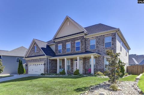 14 Mapleline Ct, Chapin, SC 29036 photo 1