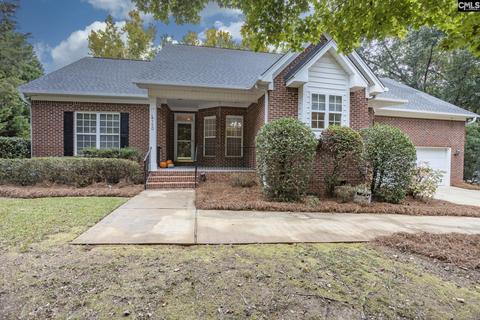 120 Three Oak Ln, Chapin, SC 29036 photo 1