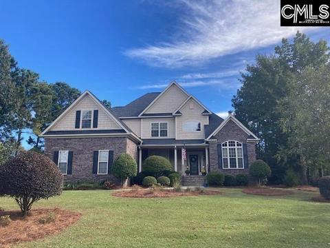 144 Blue Wing Dr, Gilbert, SC 29054 photo 1
