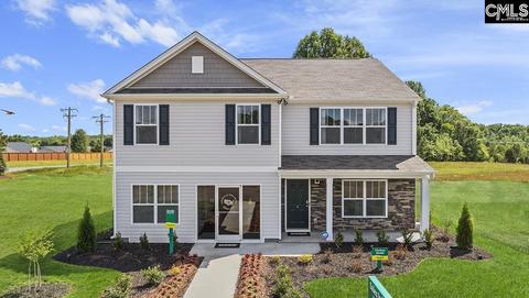 524 Plan Ct, Chapin, SC 29036 photo 1