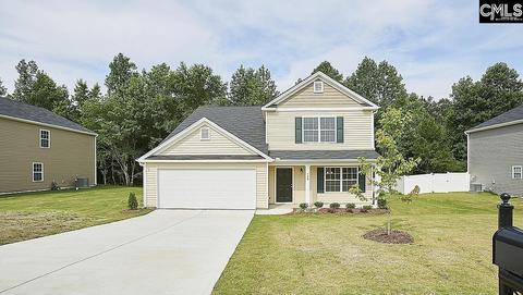 521 Plan Ct, Chapin, SC 29036 photo 1