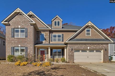 595 Compass Rose Way, Irmo, SC 29063 photo 1