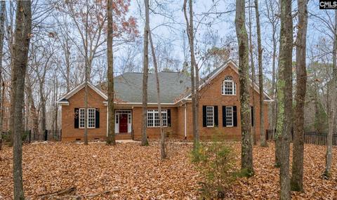 479 Cedar Rock Rd, Ridgeway, SC 29130 photo 1