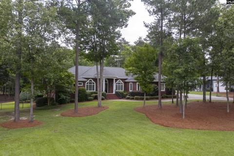 210 Tom Drafts Cir, Gilbert, SC 29054 photo 1