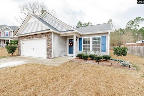 27 Thatch Palm Ct, Elgin, SC 29045 photo 1
