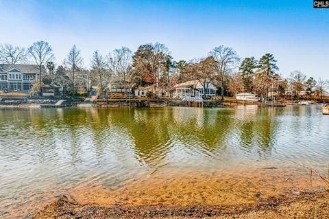 1616 Deep Cove Ln, Gilbert, SC 29054 photo 1