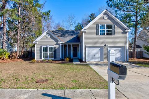155 Eagle Point Dr, Chapin, SC 29036 photo 1