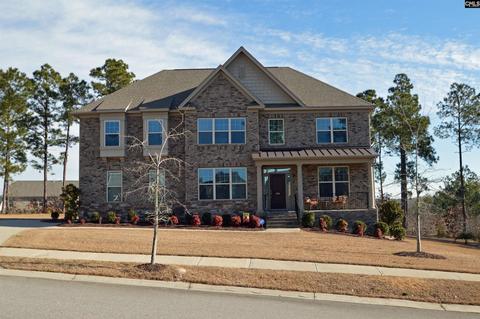 486 Palm Sedge Loop, Elgin, SC 29045 photo 1