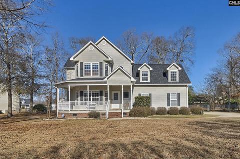 209 Peach Place Ct, Gilbert, SC 29054 photo 1