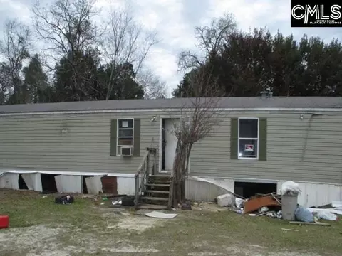 316 Truex Rd, Leesville, SC 29070 photo 1