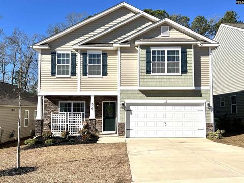 359 Explorer Dr, Chapin, SC 29036 photo 1