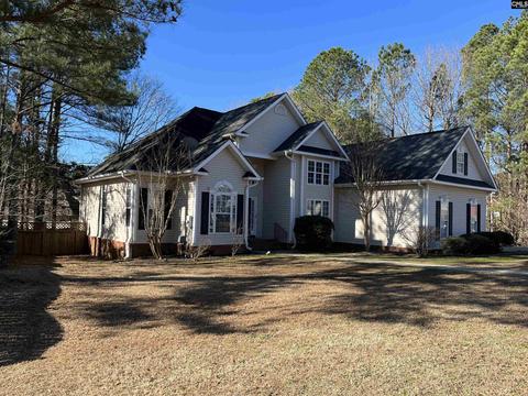 117 Wicklow Ct, Irmo, SC 29063 photo 1