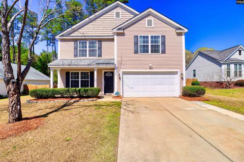116 Eagle Pointe Dr, Chapin, SC 29036 photo 1