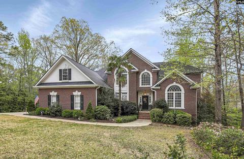 6 Maytree Ct, Irmo, SC 29063 photo 1
