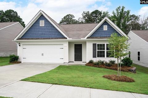 822 Red Berry Ln, Gilbert, SC 29054 photo 1
