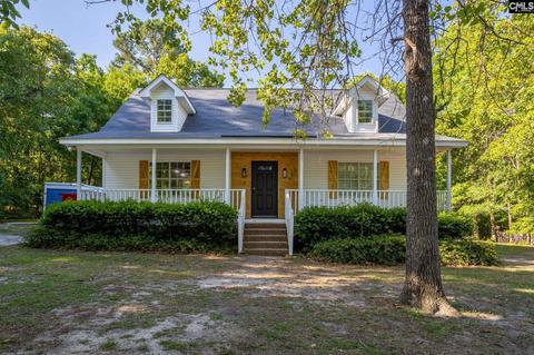 248 Drawdebil Ct, Gilbert, SC 29054 photo 1