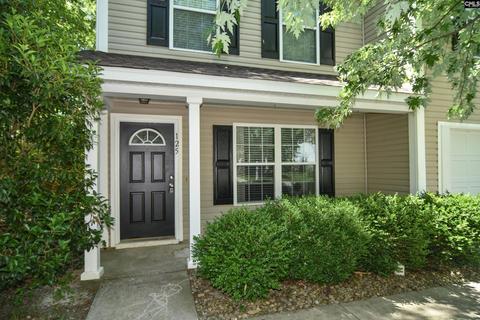 125 Eagle Pointe Dr, Chapin, SC 29036 photo 1