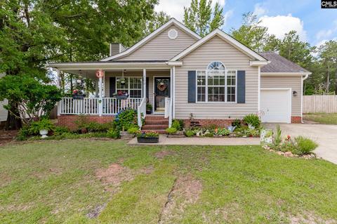 369 Firebridge Dr, Chapin, SC 29036 photo 1