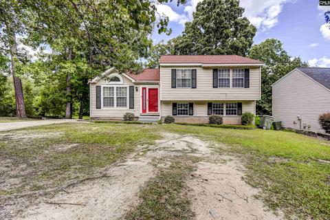 105 Clarion Rd, Irmo, SC 29063 photo 1